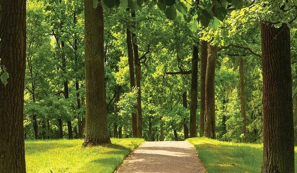 Godrej Lakeside Orchard Green Surroundings